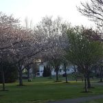 Reinheimer Park