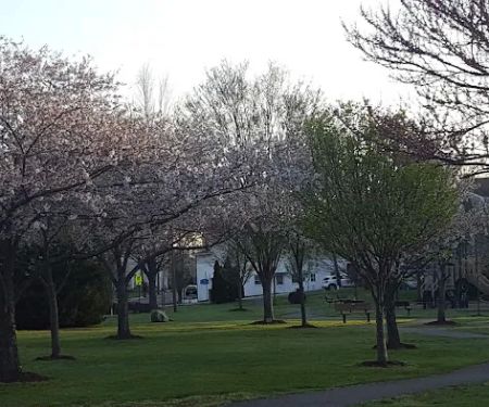 Reinheimer Park