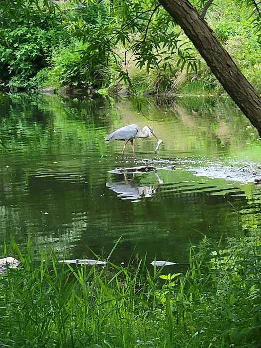 Yantacaw Brook Park Picture 9