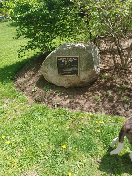 Yantacaw Brook Park Picture 7