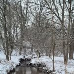 Yantacaw Brook Park