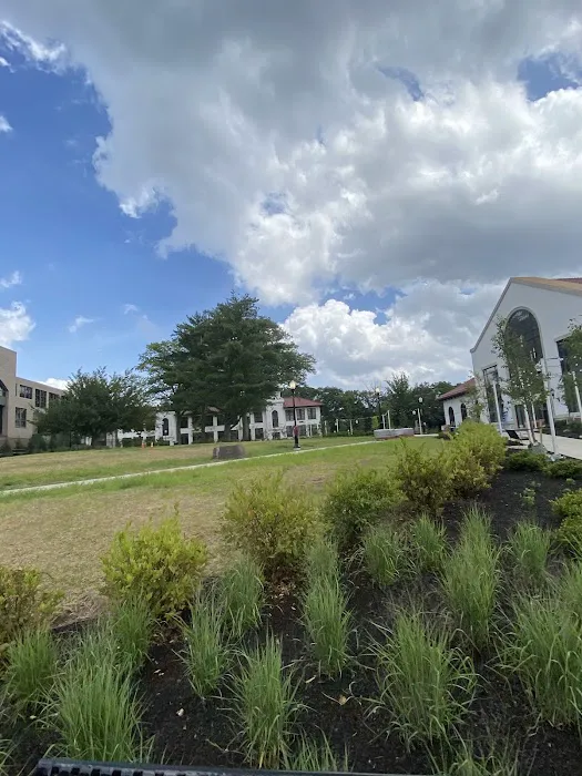 Alumni Green Picture 1