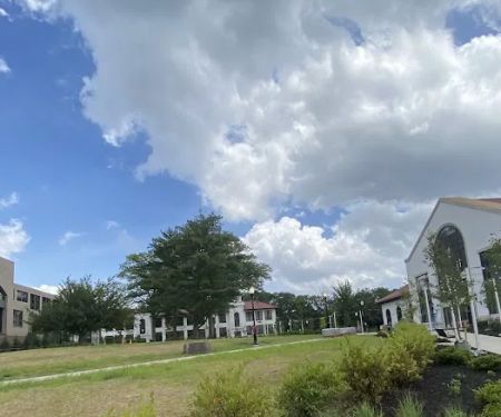 Alumni Green
