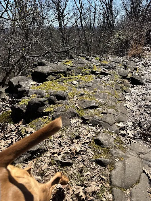 Mountainside Park Picture 6