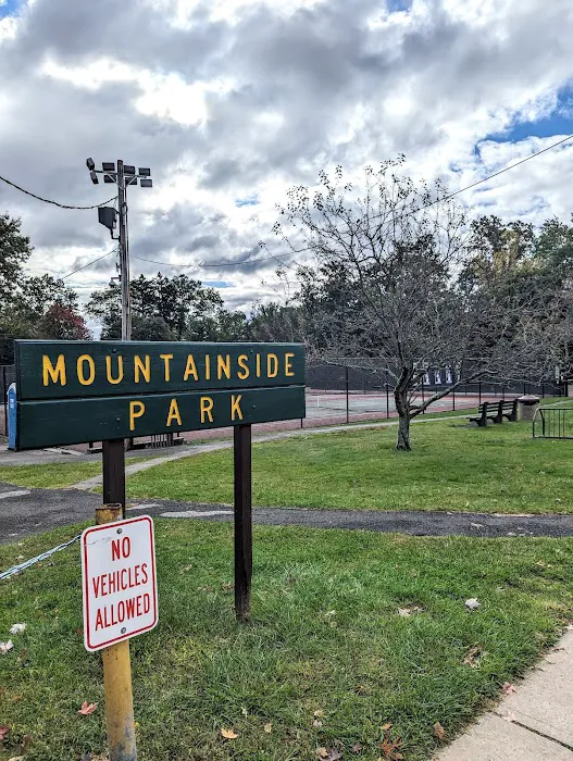 Mountainside Park Picture 8