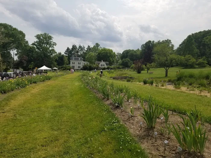 Presby Iris Gardens Picture 4
