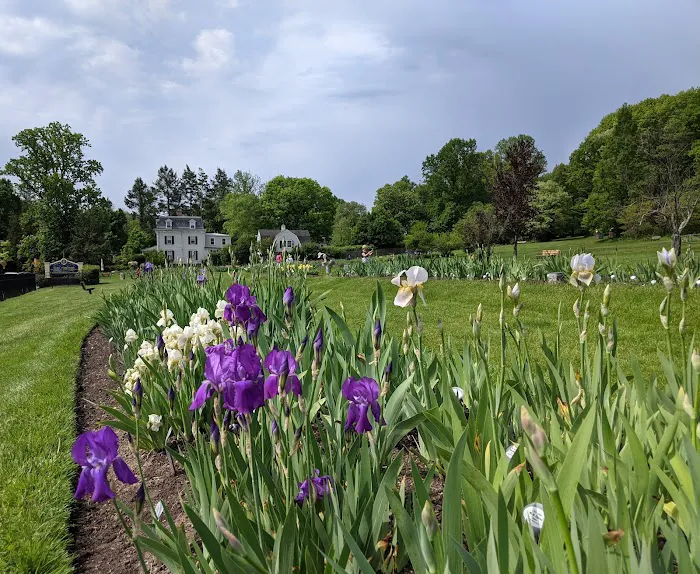 Presby Iris Gardens Picture 7