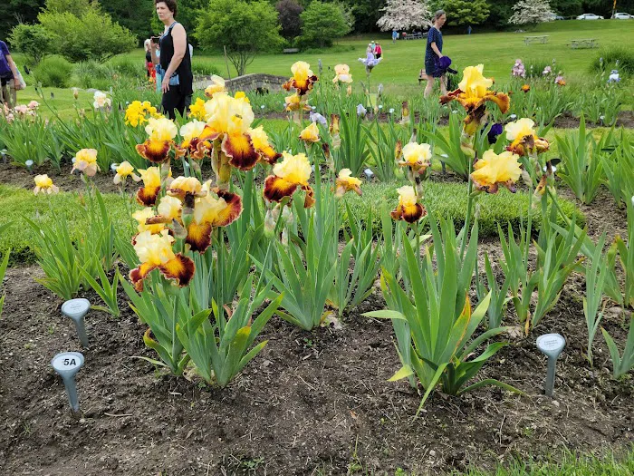 Presby Iris Gardens Picture 9