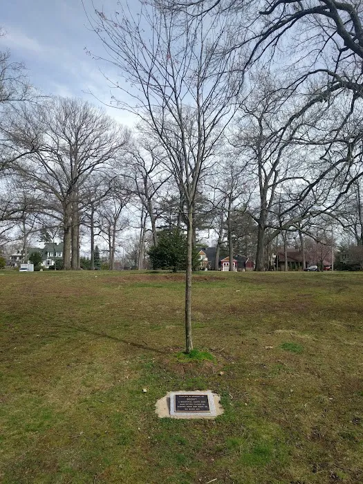 Sunset Park Picture 1