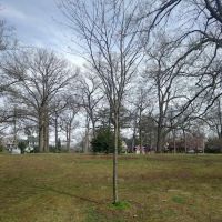 Sunset Park ico