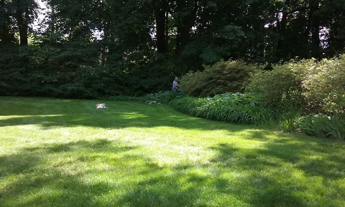 Sunset Park Picture 6