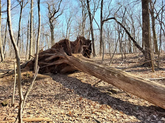 Mills Reservation Parking Lot Picture 3