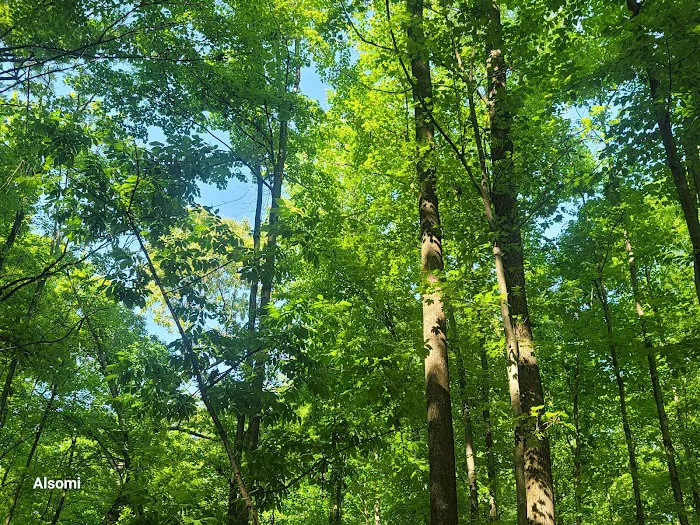 Mills Reservation Parking Lot Picture 10