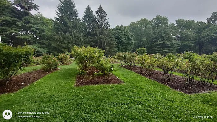 Brookdale Park Rose Garden Picture 1