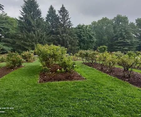 Brookdale Park Rose Garden