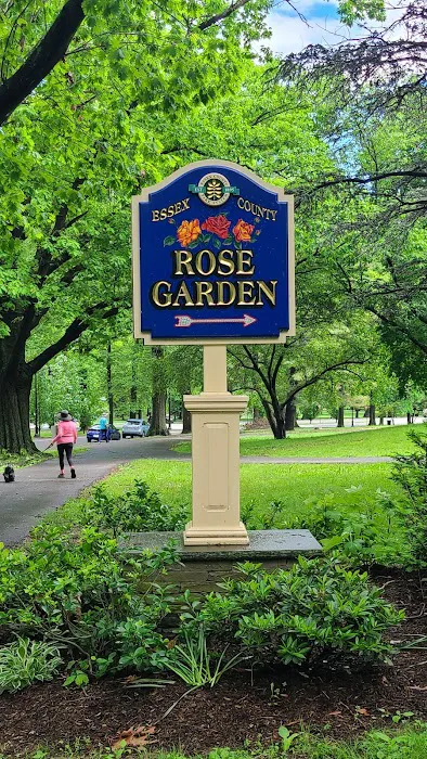 Brookdale Park Rose Garden Picture 8