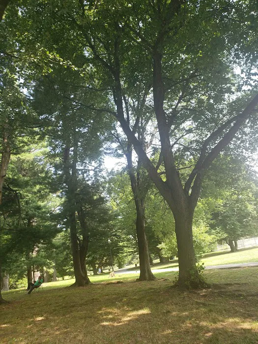 Brookdale Park Picture 7
