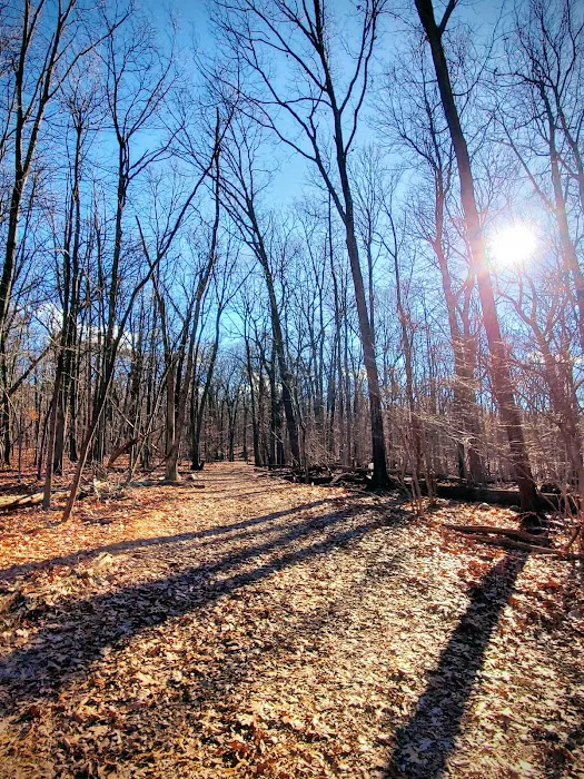 Mills Reservation Picture 1