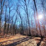 Mills Reservation