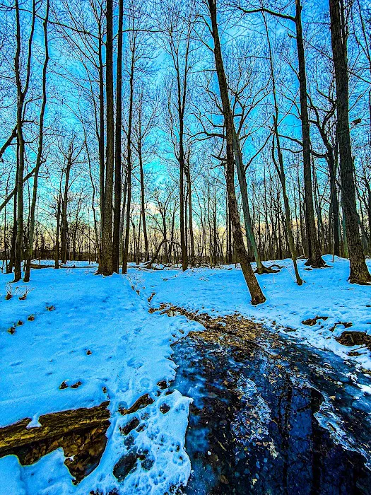 Mills Reservation Picture 10