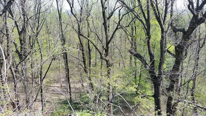 Mills Reservation Picture 9