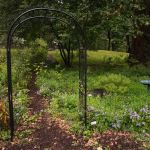 Pollinator Garden & Monarch Waystation