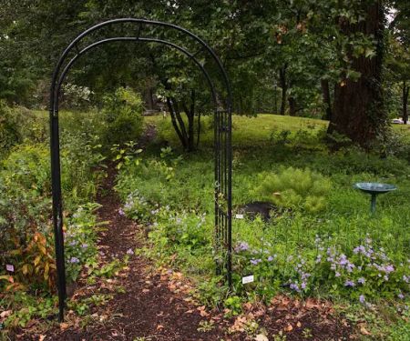 Pollinator Garden & Monarch Waystation