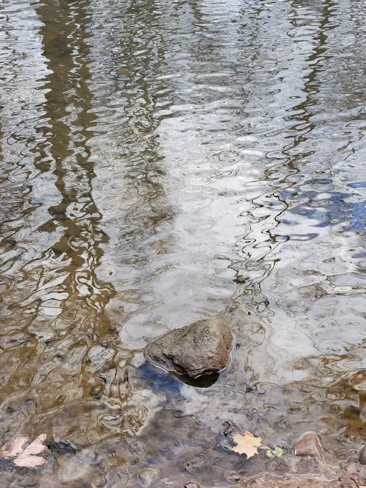Clarks Pond Picture 3
