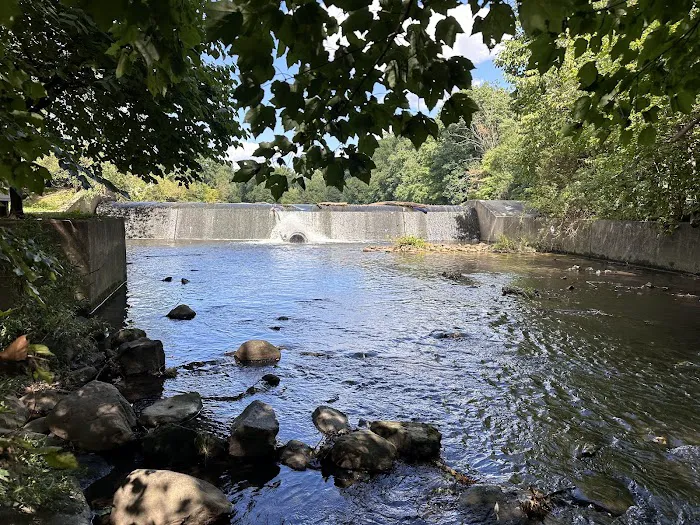 Clarks Pond Picture 9