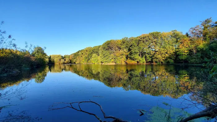 Clarks Pond Picture 5