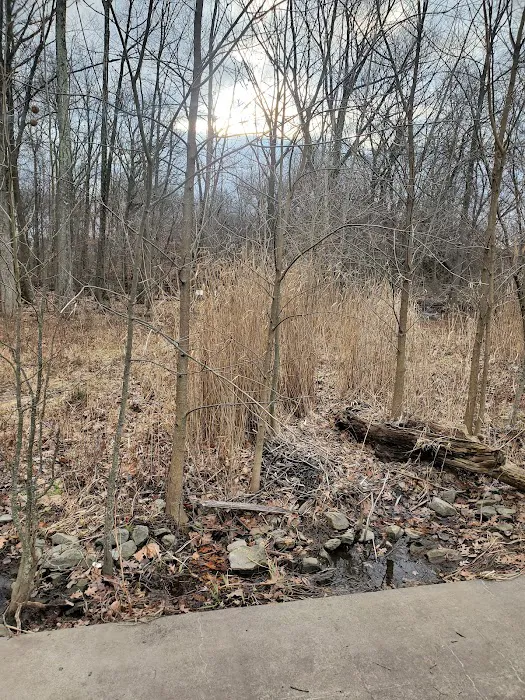 Clarks Pond Picture 4