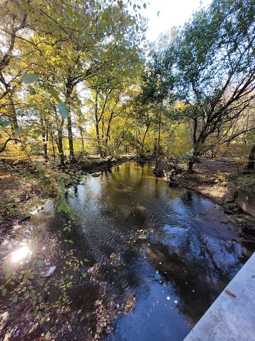 Clarks Pond Picture 6