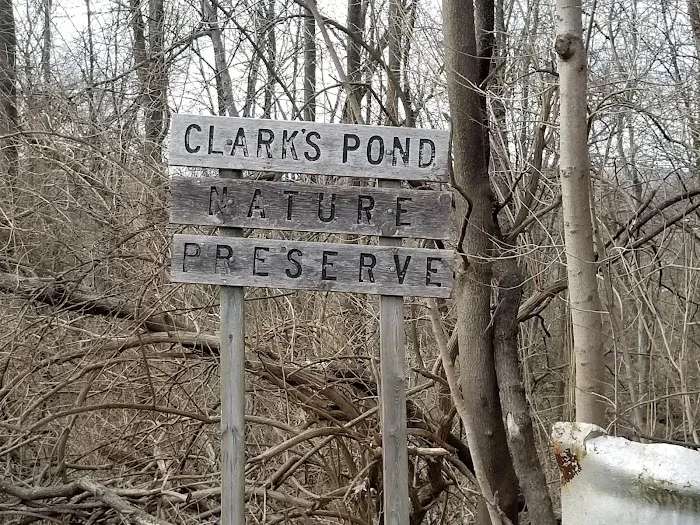 Clarks Pond Picture 10