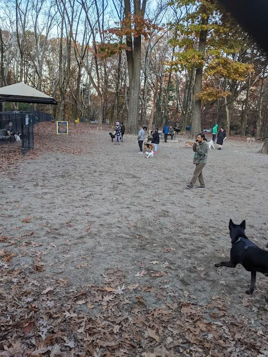 Brookdale Dog Park Picture 4