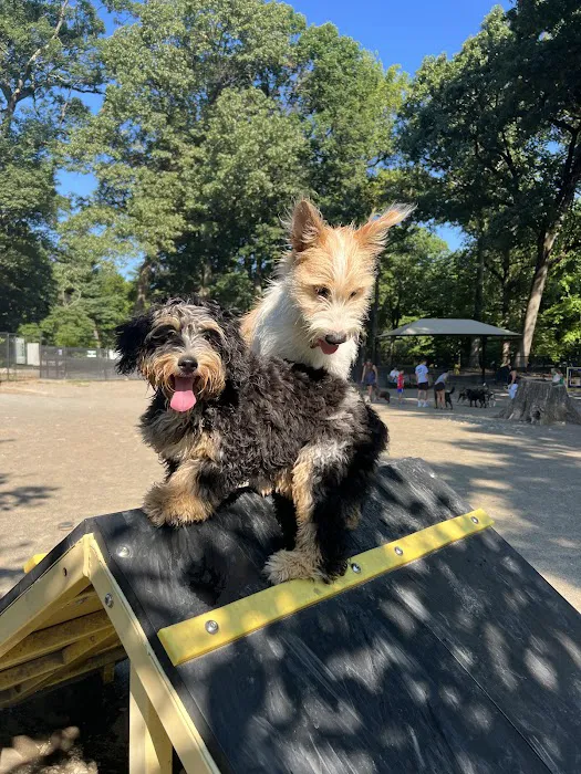 Brookdale Dog Park Picture 1