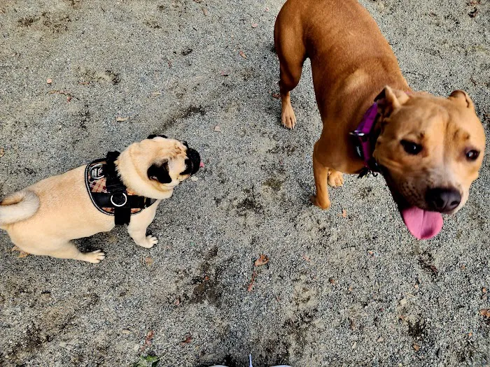 Brookdale Dog Park Picture 2