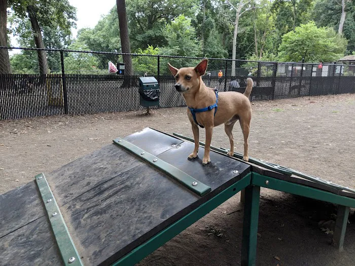 Brookdale Dog Park Picture 6
