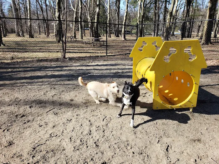 Brookdale Dog Park Picture 10