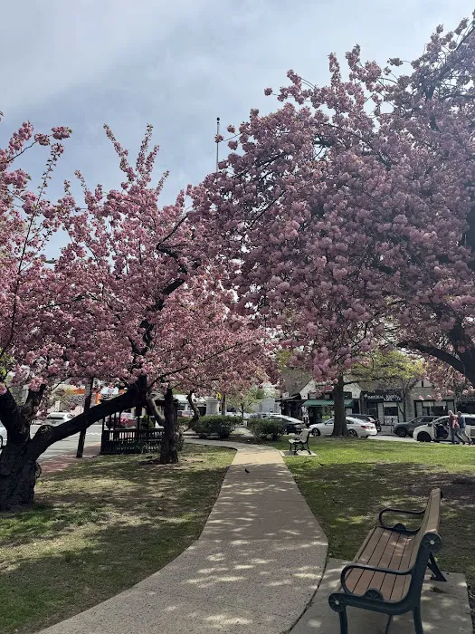 Watchung Plaza Picture 8