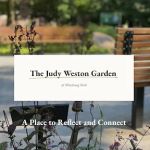 The Judy Weston Garden