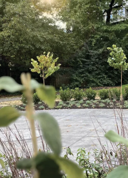 The Judy Weston Garden Picture 3