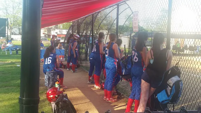 Boro field Picture 7