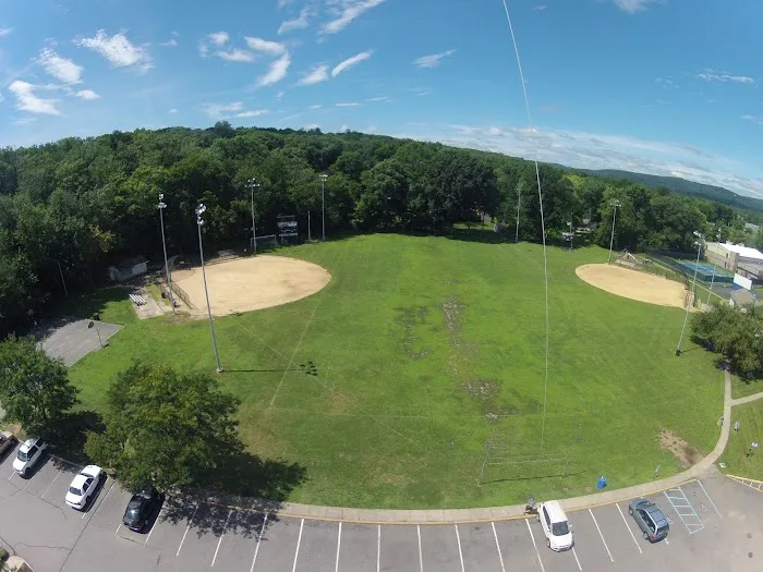 Boro field Picture 5