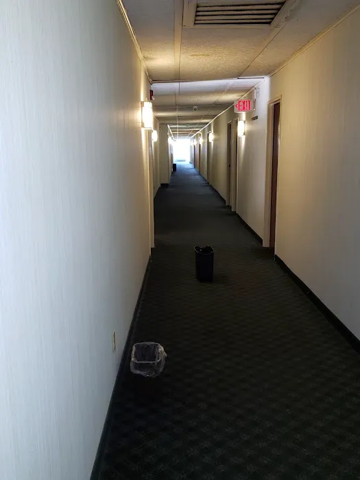 Wayne Inn Picture 5