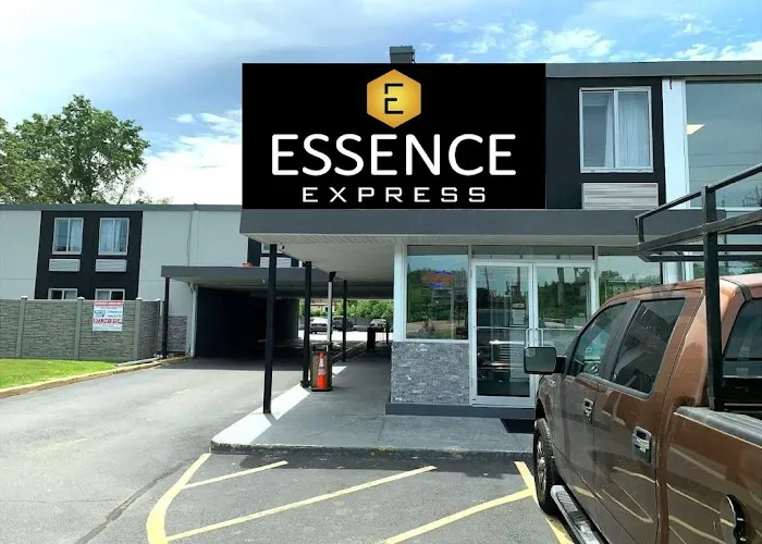 Essence Express, Wayne Picture 3