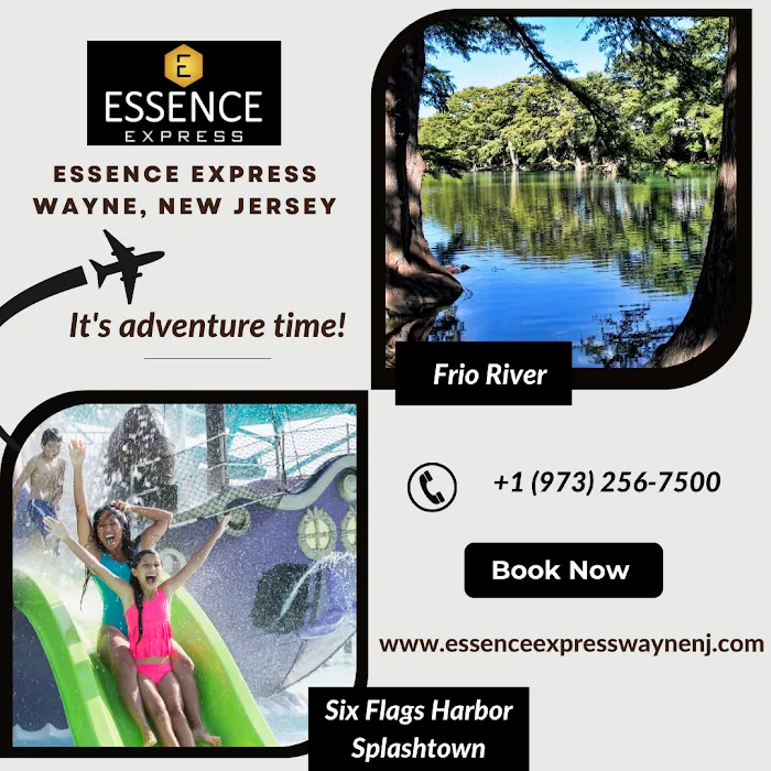 Essence Express, Wayne Picture 7