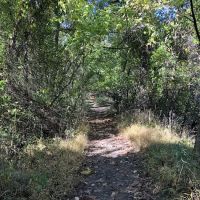 Walker Avenue Wetlands ico
