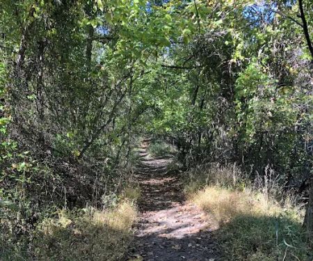 Walker Avenue Wetlands
