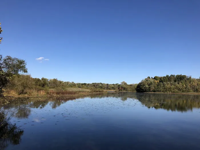 Walker Avenue Wetlands Picture 2