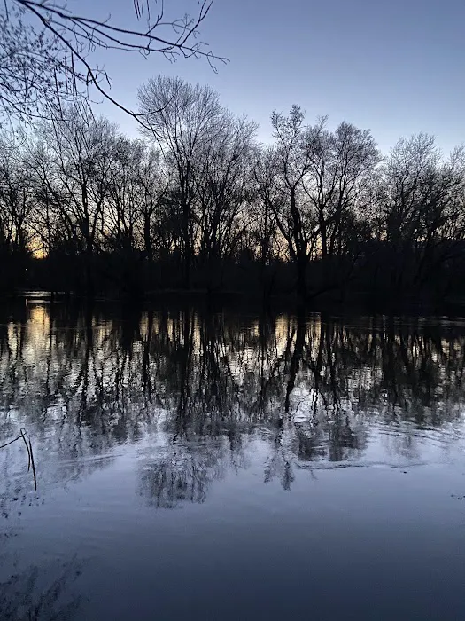 Walker Avenue Wetlands Picture 4